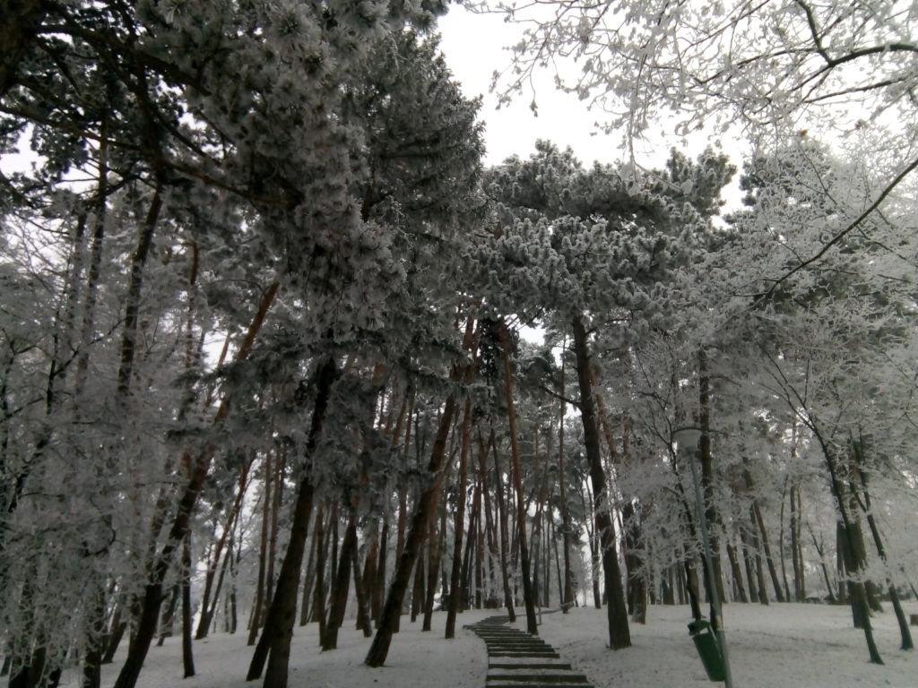parc_iarnă_scări